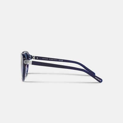 Coach Horse And Carriage Round Sunglasses In Blue Signature C Gradient