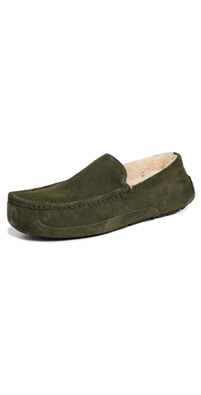 Shop Ugg Ascot Slippers Forest Night