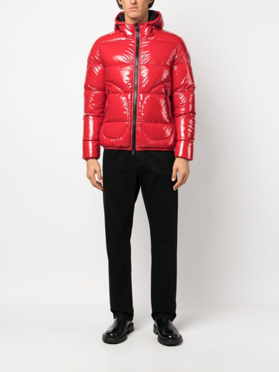 Shop Herno Logo-patch Padded Hooded Jacket In Red
