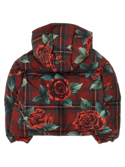 Shop Dolce & Gabbana Tartan Rose Down Jacket In Red
