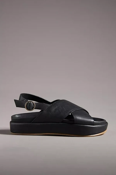Shop Beek Gull Slingback Sandals In Black