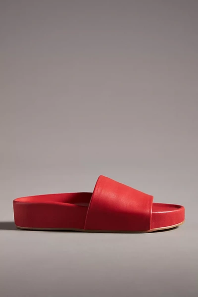 Shop Beek Pelican Slide Sandals In Red