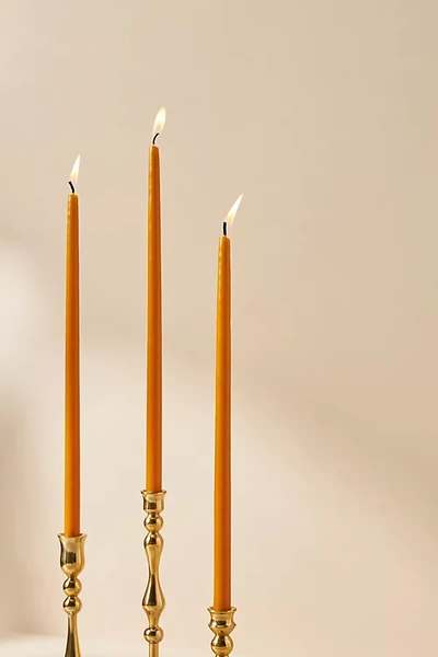 Shop Anthropologie Mini Taper Candles, Set Of 12 In Orange