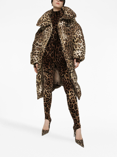 Dolce & Gabbana Leopard-print Oversize Padded Coat In Brown