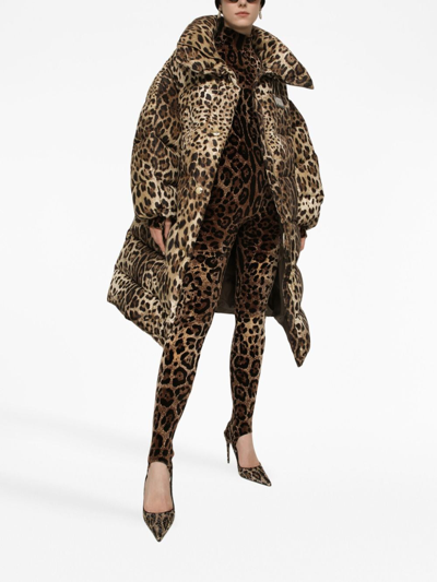 Dolce & Gabbana Leopard-print Oversize Padded Coat In Brown