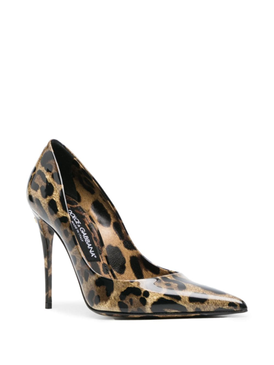 Dolce & Gabbana Lollo Shiny Leo-print Calf Leather Dcollet In Brown