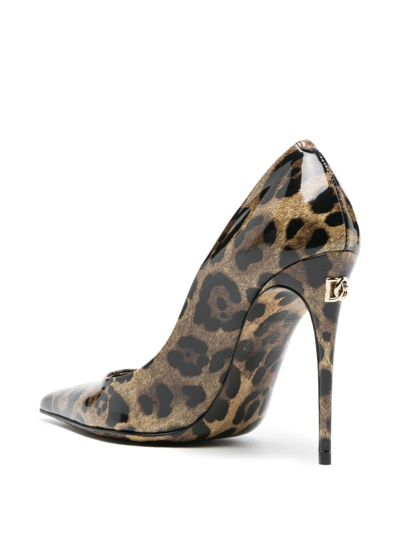 Dolce & Gabbana Lollo Shiny Leo-print Calf Leather Dcollet In Brown