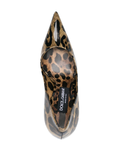 Dolce & Gabbana Lollo Shiny Leo-print Calf Leather Dcollet In Brown