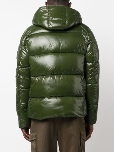 Save The Duck D31280mluck17 50023 Pine Green In Green