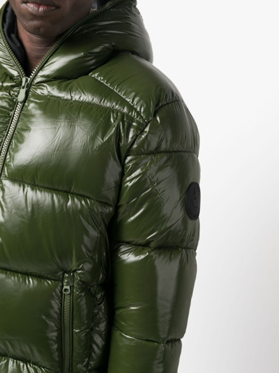Save The Duck D31280mluck17 50023 Pine Green In Green