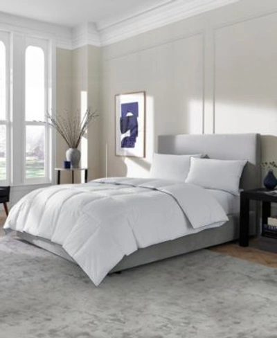 Shop Sleeptone Tranquility Feather Down Comforters In White