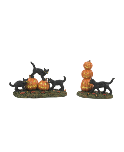 Department Five Scary Cats Pumpkins, Set Of 2 In Multi