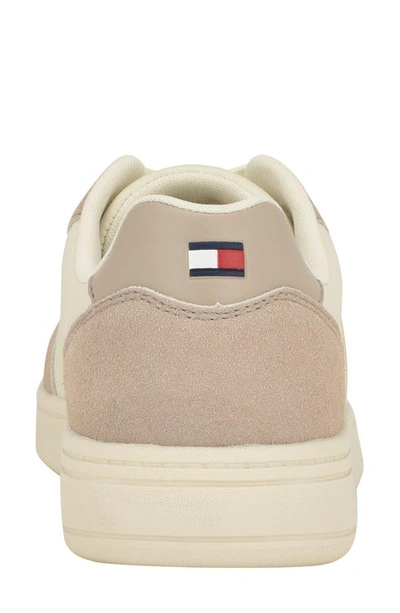 Shop Tommy Hilfiger Veniz Sneaker In Taupe