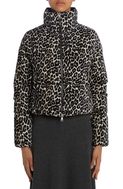 Moncler store leopard jacket