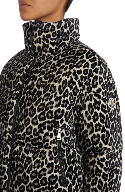 Shop Moncler Sebou Leopard Print Crop Down Jacket In Black