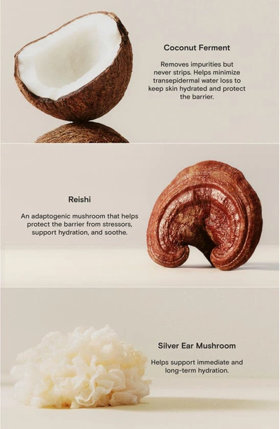 Moon Juice Milk Cleanse Facial Wash