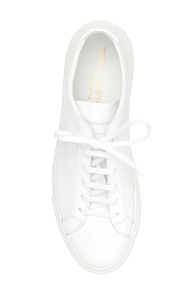 Shop Common Projects Original Achilles Leather Sneakers In White