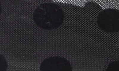 MANOLO BLAHNIK: Campari pumps in mesh with polka dots - Black