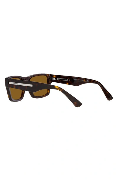 Shop Prada 56mm Rectangular Sunglasses In Tortoise