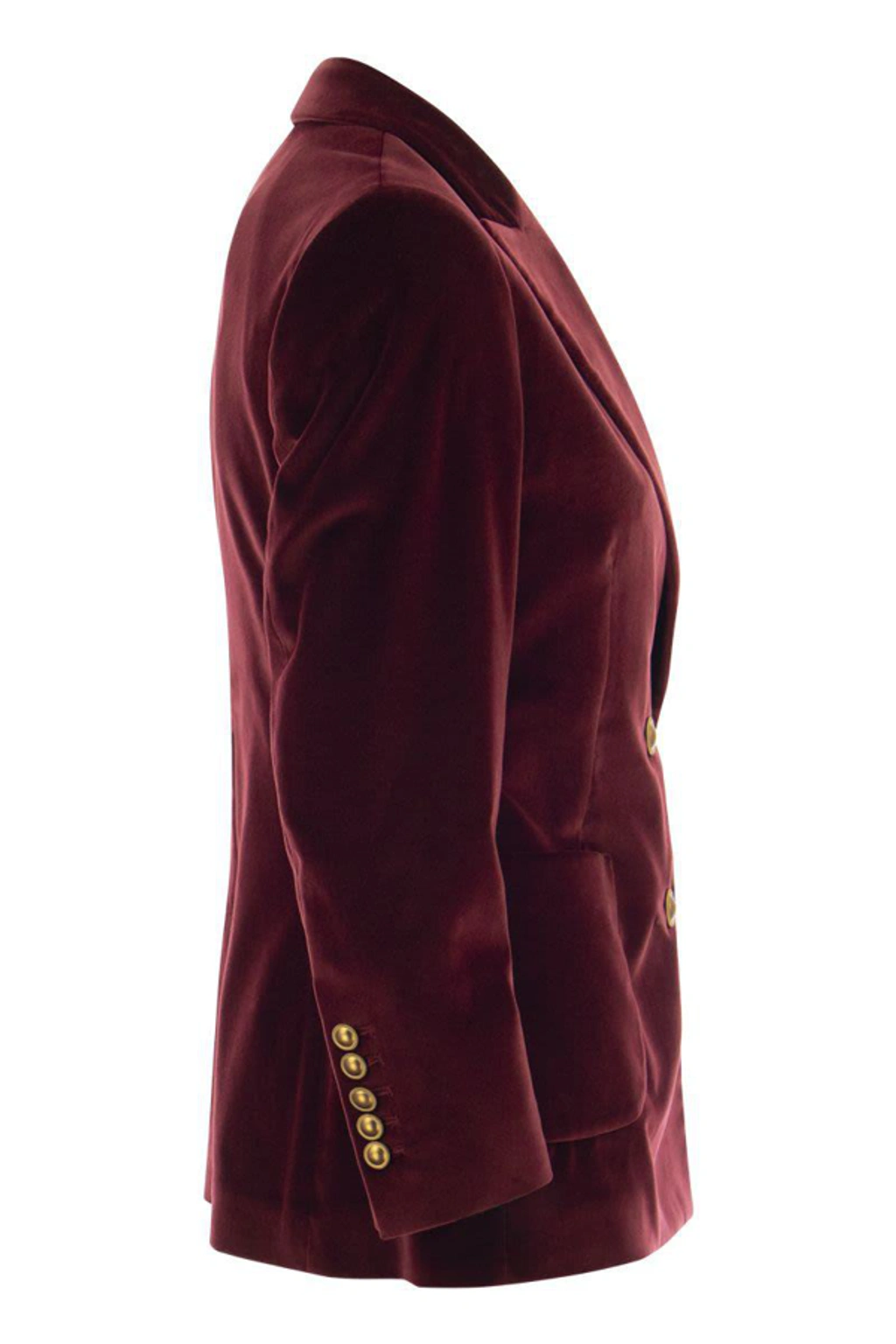 ジャケット SAULINA ANTONIA - Single-breasted velvet jacket (SAA016 3) Saulina Antonia - Single-breasted Velvet Jacket In Brown