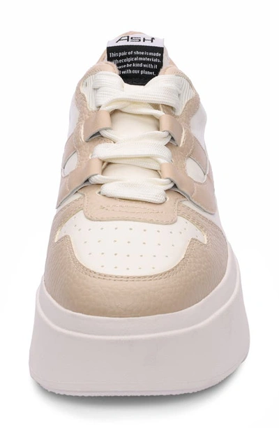 Ash Match Platform Sneaker In White/eggnog