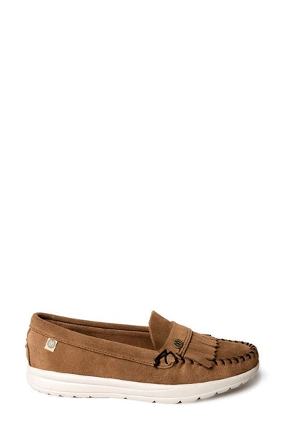 Shop Minnetonka Kylee Kilty Slip-on Sneaker In Dusty Brown