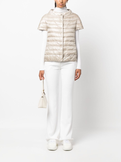 Herno Margherita Short-sleeve Quilted Jacket In Neutrals