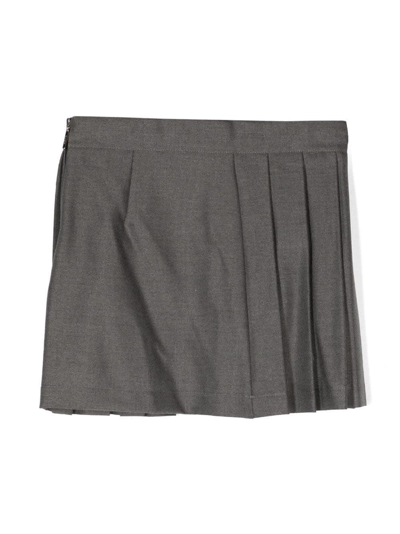Shop Msgm Grey Pleated Mini Skirt With Logo In Grigio