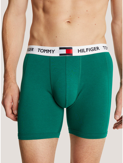 Shop Tommy Hilfiger Logo Rib Boxer Brief In Hunter