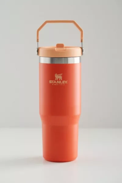 Shop Stanley 2.0 Flip Straw 30 oz Tumbler In Tigerlily At Urban Outfitters