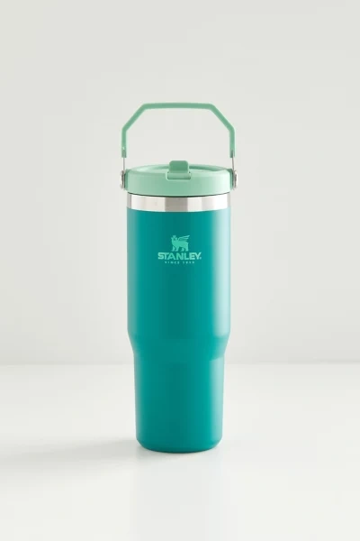 Shop Stanley 2.0 Flip Straw 30 oz Tumbler In Alpine At Urban Outfitters In Green
