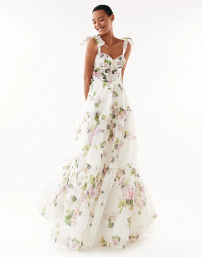 Milla Apple Blossom Tender Floral Maxi Tie-strap Dress In Apple Blossom