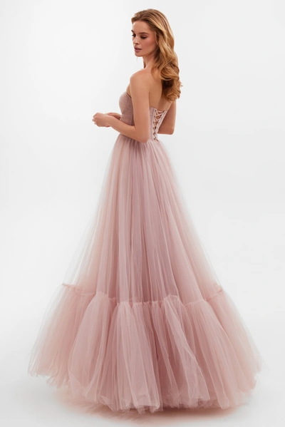 Milla Misty Rose Sheer Sleeves Maxi Tulle Dress In Misty Rose