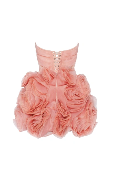 Milla Appliqud Organza Coral Mini Dress In Coral
