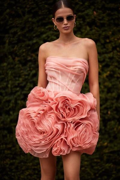 Milla Appliqud Organza Coral Mini Dress In Coral