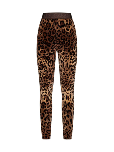 Shop Dolce & Gabbana Leopard Printed Slim Cut Leggings In Multi