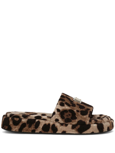 Shop Dolce & Gabbana Women 20mm Printed Terry Cloth Flat Slides In Brown