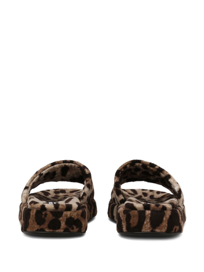 Shop Dolce & Gabbana Women 20mm Printed Terry Cloth Flat Slides In Brown