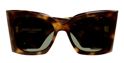 Pre-owned Saint Laurent Sl M119 Blaze-002 Havana/green Cat Eye Women's Sunglasses