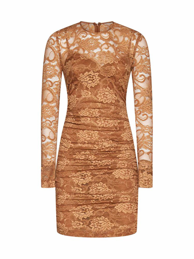 Shop Dolce & Gabbana Lace Semi Sheer Mini Dress In Brown