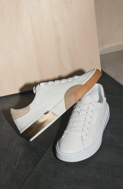 Shop Dolce Vita Zina Sneaker In White/ Gold Leather