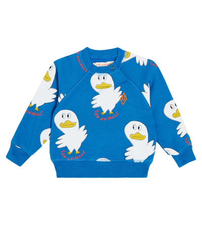 Shop The Animals Observatory Baby Duck Printed Cotton Sweatshirt In Blue