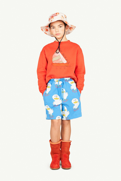 The Animals Observatory Bear Cotton Jersey Sweatshirt In Multicoloured