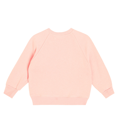 The Animals Observatory The Shark Cotton Sweatshirt In Multicoloured