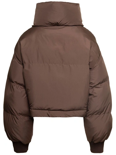 Shop Dolce & Gabbana Cropped Puffer Jacket In Brown