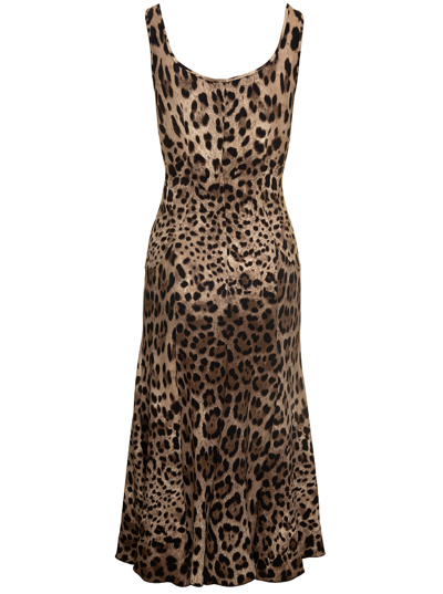 Shop Dolce & Gabbana Mini Brown Dress With All-over Leo Print In Stretch Viscose Woman