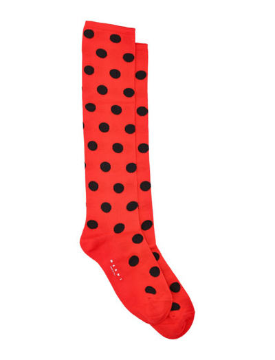 Shop Marni Polka Dot Intarsia Knit Socks In Red