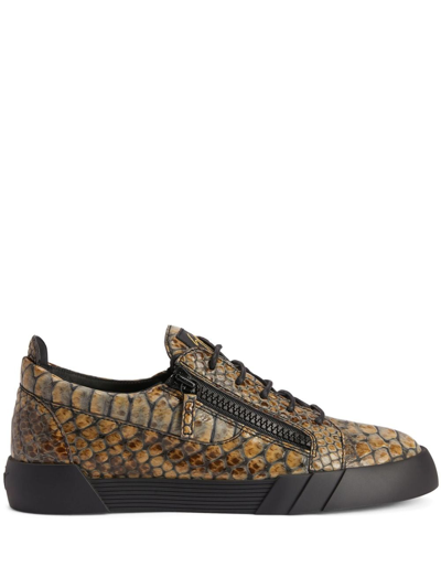 Shop Giuseppe Zanotti The Shark 5.0 Leather Sneakers In Brown