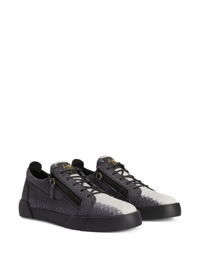 Shop Giuseppe Zanotti Frankie Python-embossed Leather Sneakers In Black