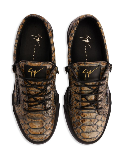 Shop Giuseppe Zanotti The Shark 5.0 Leather Sneakers In Brown